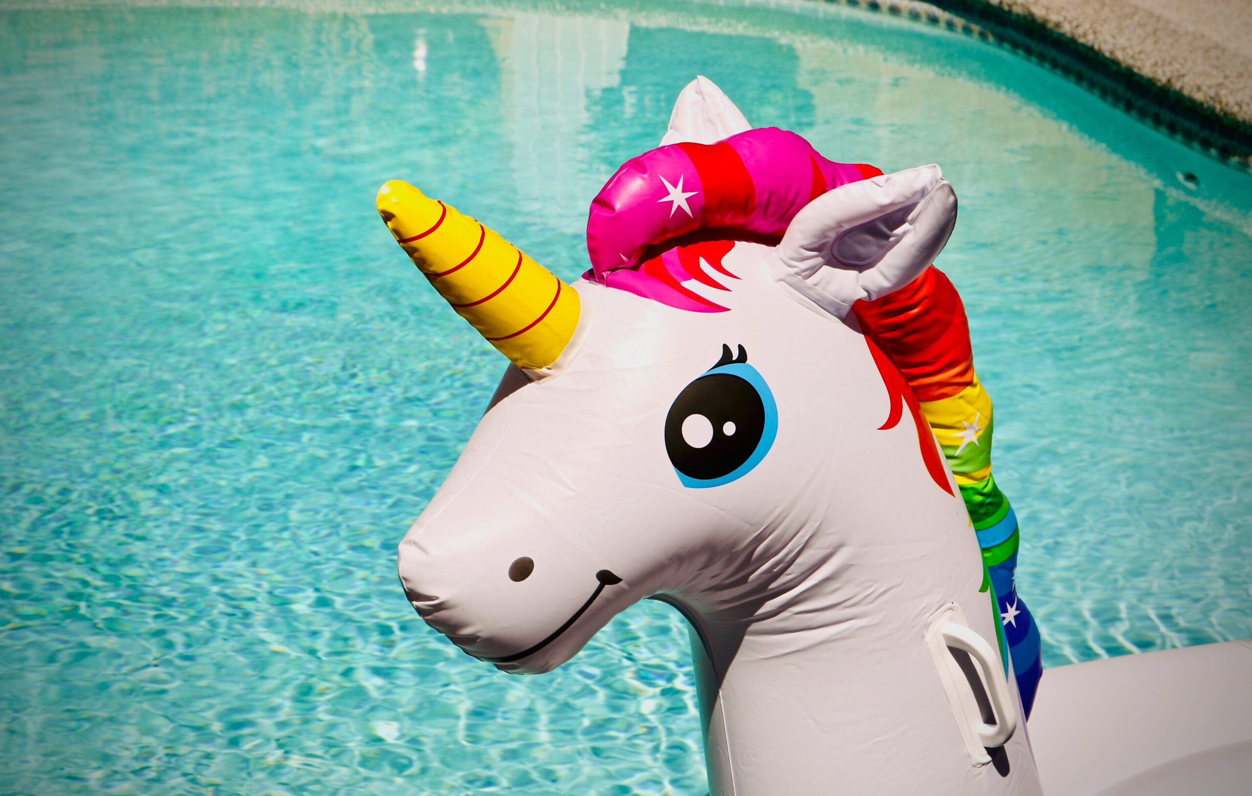 Inflatable unicorn - Econometrics isn't the answer to everything